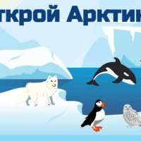 Всероссийский урок «Арктика»