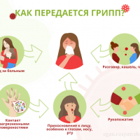 Профилактика заболеваний 