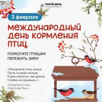 Международный день кормления птиц